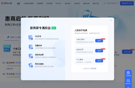 快手电商
